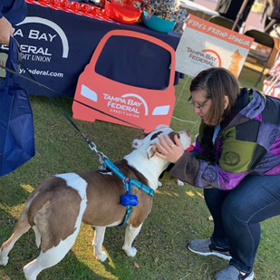 volunteer at dog event